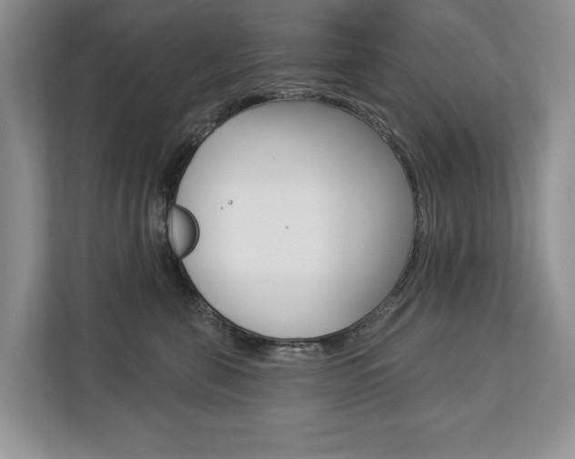 X0000112890571200908211032