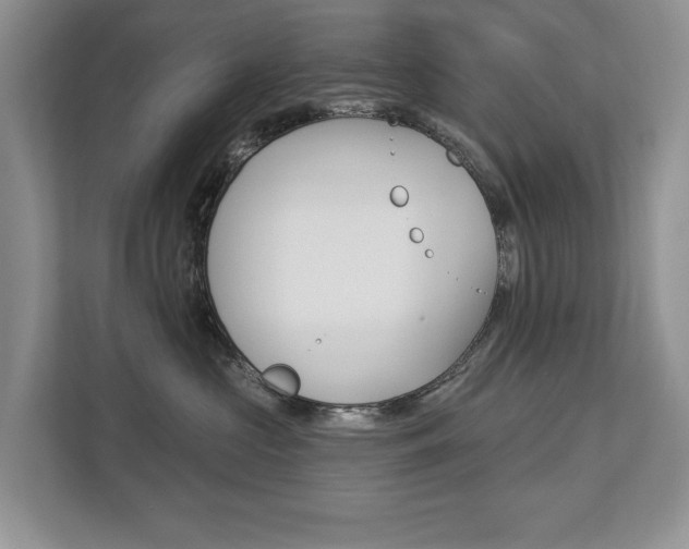 X0000112890573200908211032