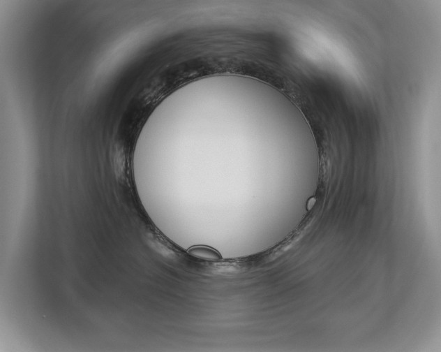 X0000112890574200908211032