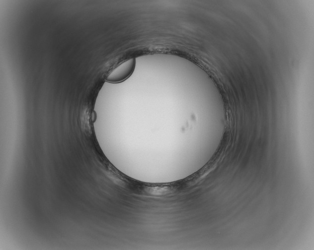 X0000112890575200908211033