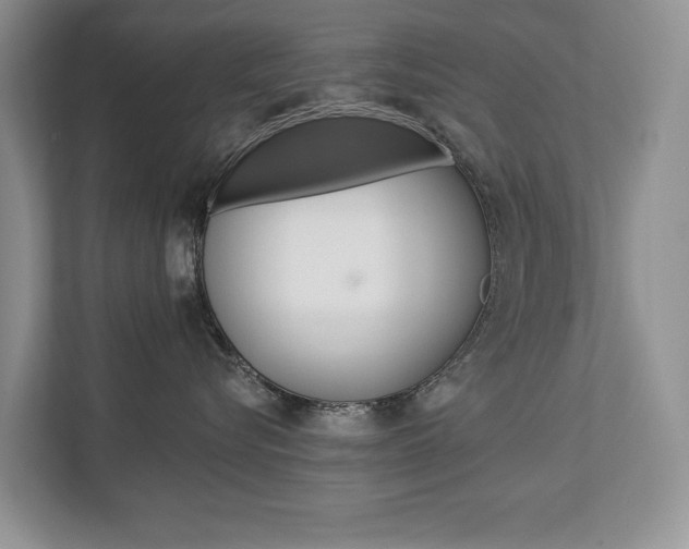 X0000112890576200908211033