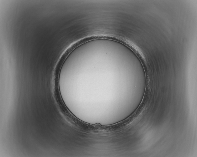 X0000112890580200908211032