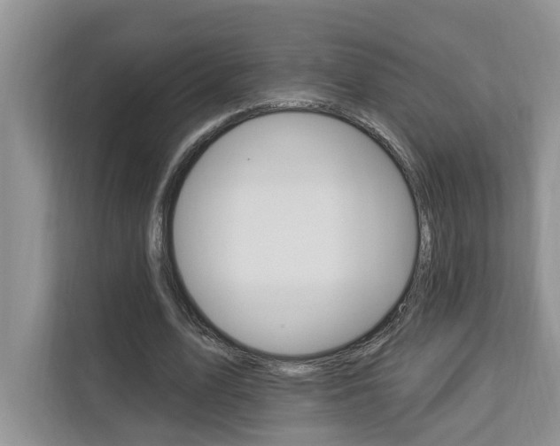 X0000112890583200908211032