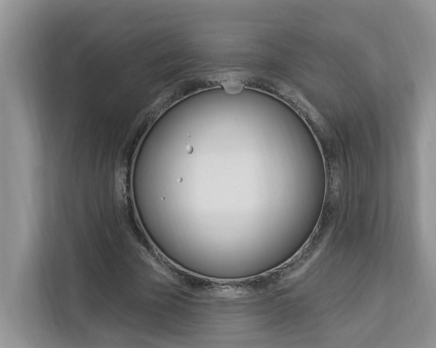 X0000112890585200908211032
