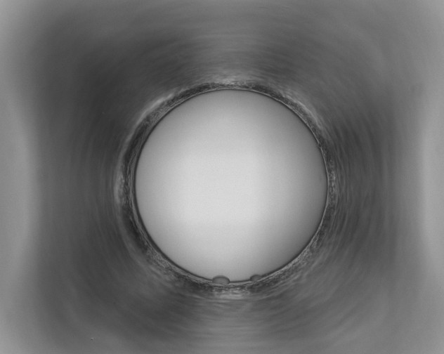 X0000112890587200908211032
