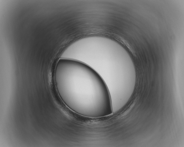 X0000112890589200908211032