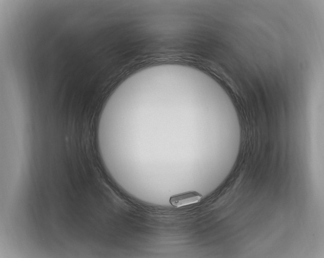 X0000112890593200908211032