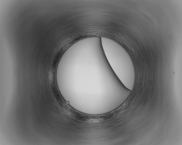 X0000112890595200908211032
