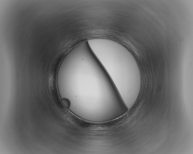 X0000112890597200908211032