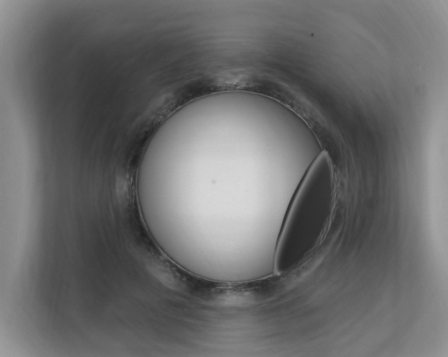 X0000112890601200908211032