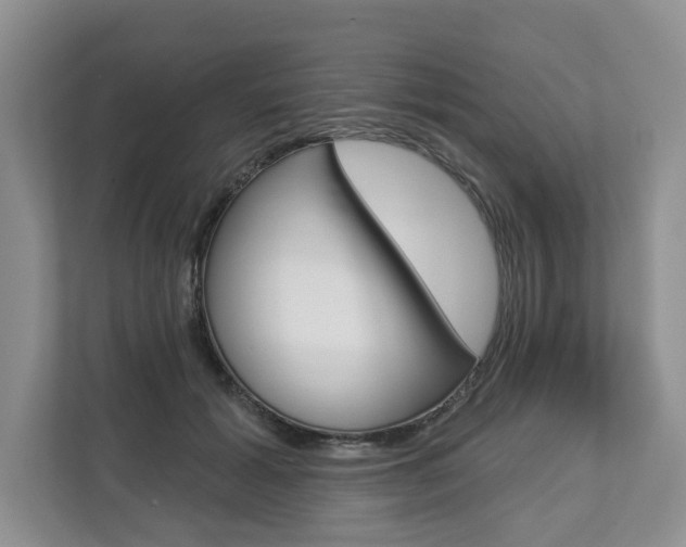 X0000112890605200908211032