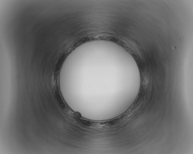 X0000112890607200908211031