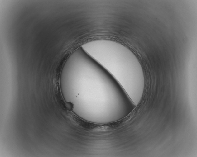 X0000112890609200908211031
