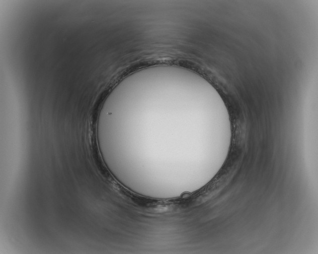 X0000112890612200908211031