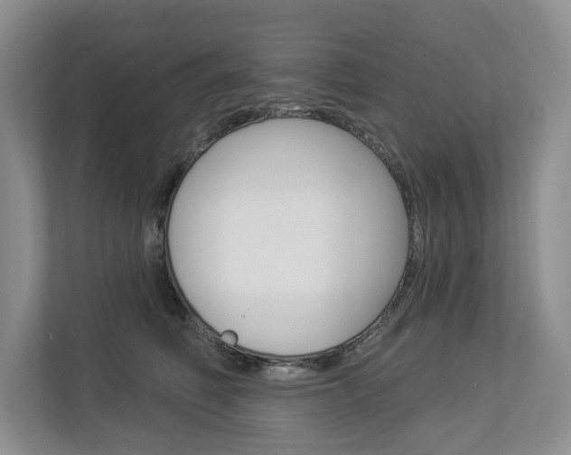 X0000112890614200908211031