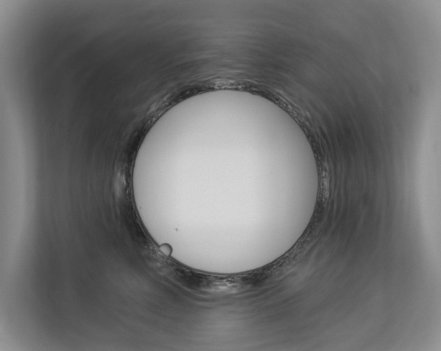 X0000112890618200908211031