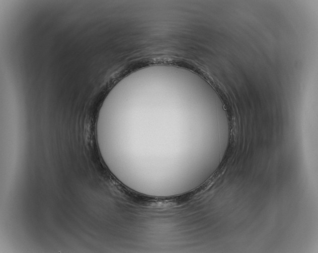 X0000112890619200908211031
