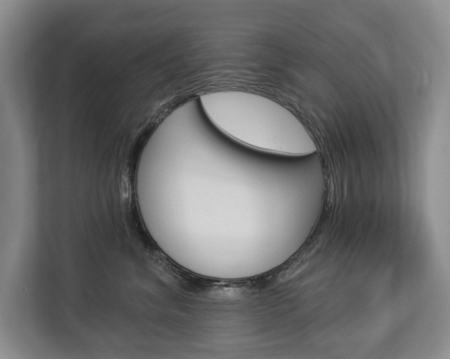 X0000112890620200908211031