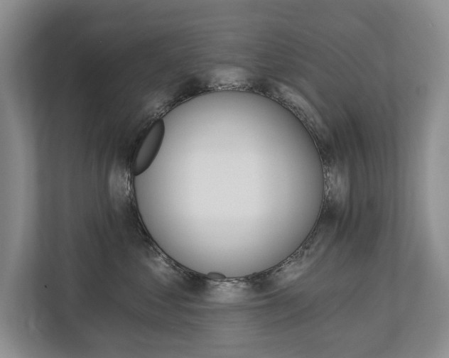 X0000112890621200908211031