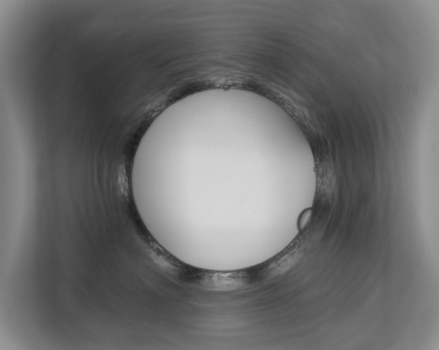 X0000112890622200908211031