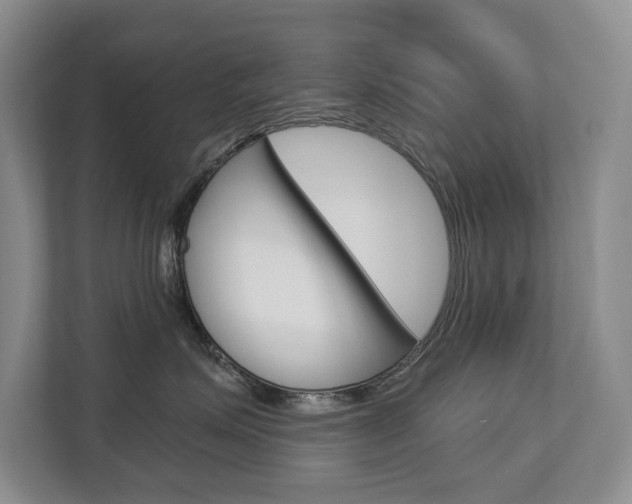 X0000112890623200908211031