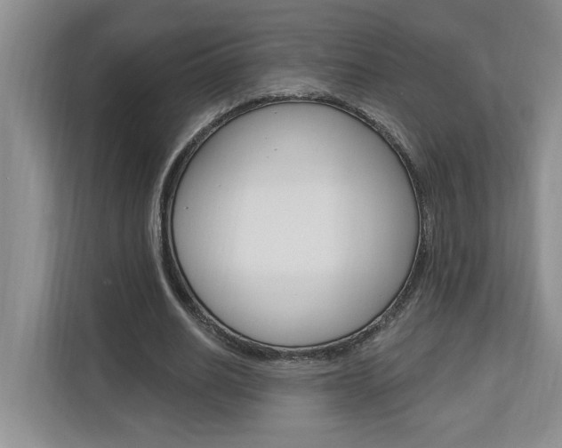 X0000112890630200908211031