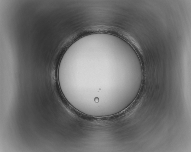 X0000112890633200908211031