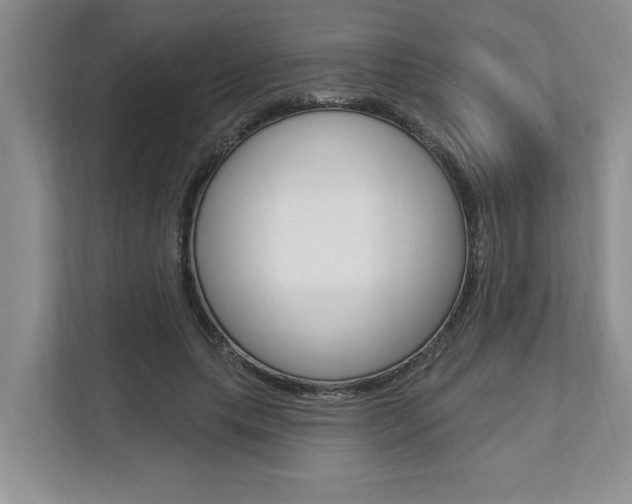 X0000112890639200908211031