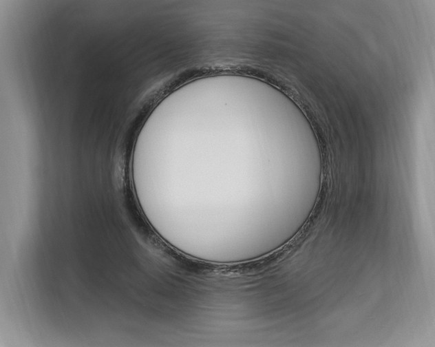 X0000112890640200908211031