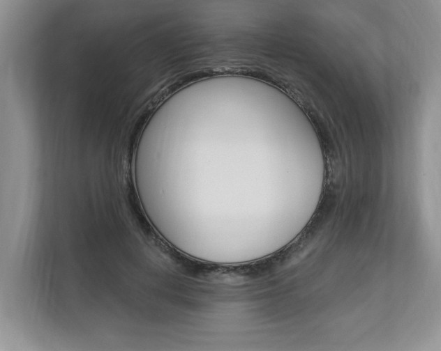 X0000112890648200908211031