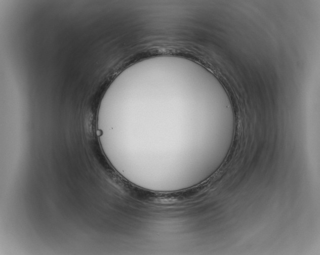 X0000112890650200908211031