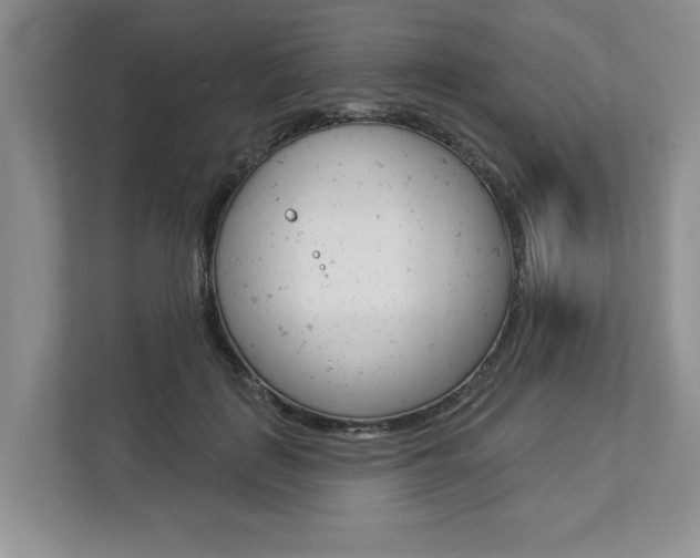 X0000112890651200908211031