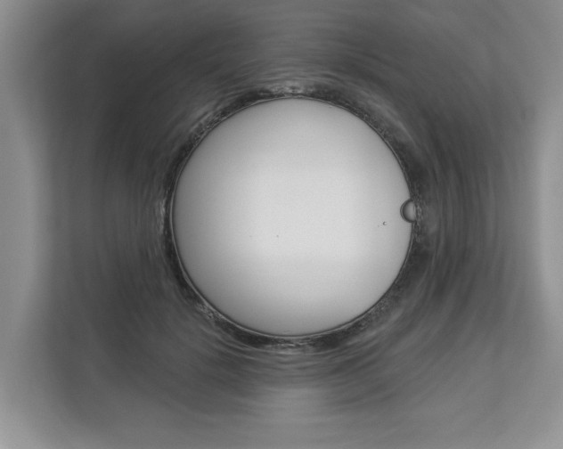 X0000112890652200908211031