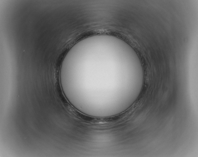 X0000112890658200908211031