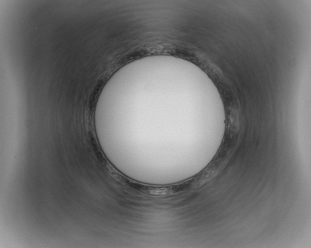 X0000112890659200908211031