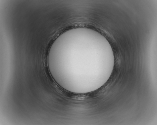 X0000112890661200908211031
