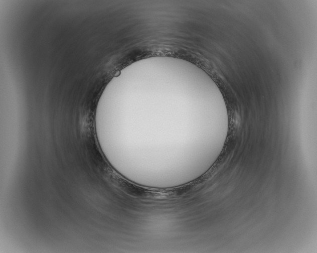 X0000112890663200908211031