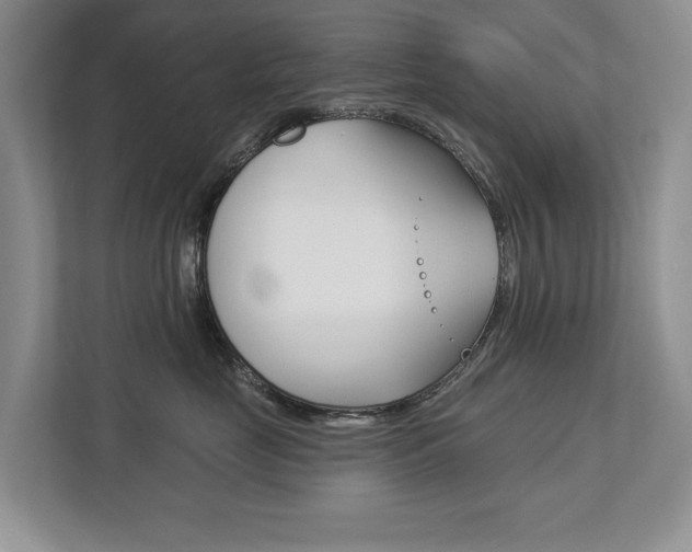 X0000112890669200908211031