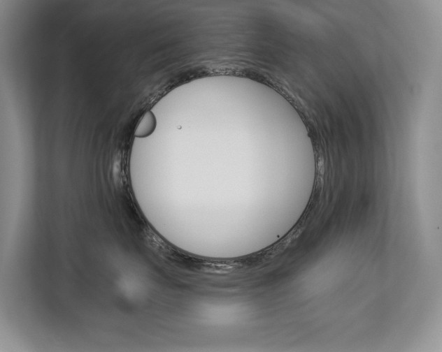 X0000112890671200908211031