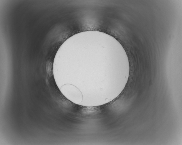 X0000112890672200908211031
