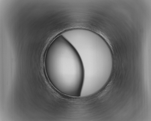 X0000112890673200908211031
