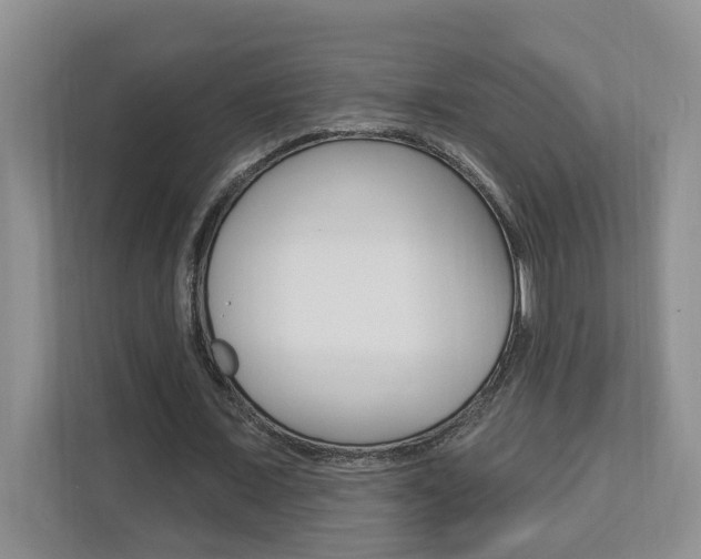 X0000112890675200908211031