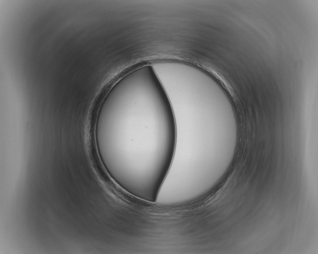 X0000112890677200908211031