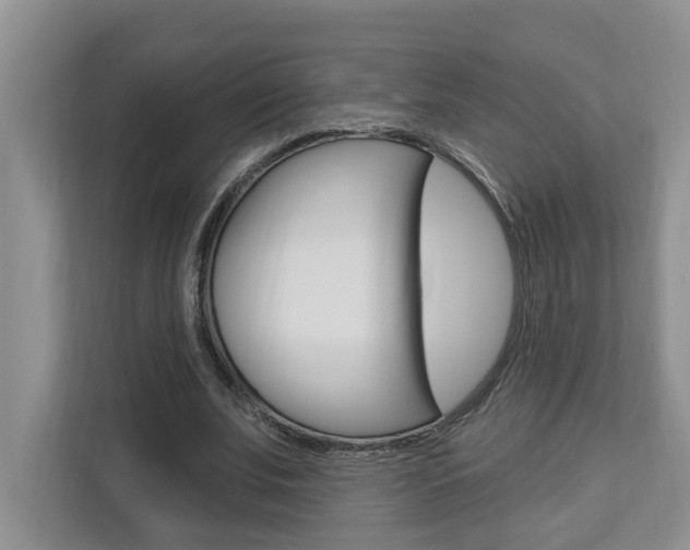 X0000112890679200908211031