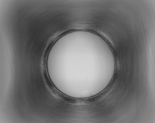X0000112890682200908211031