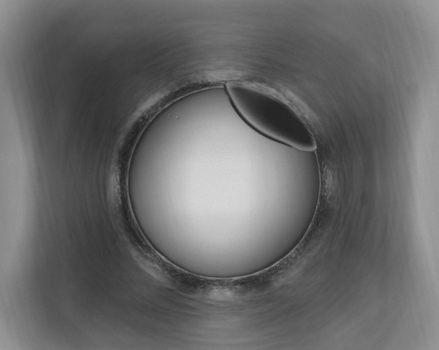 X0000112890684200908211030