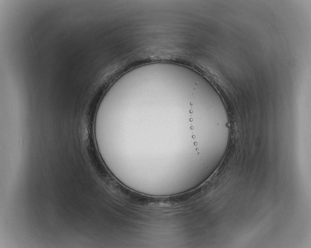X0000112890687200908211030