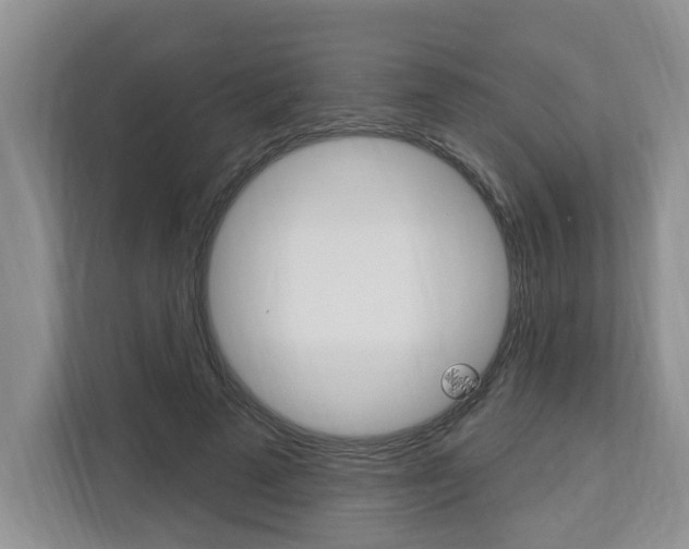 X0000112890689200908211030
