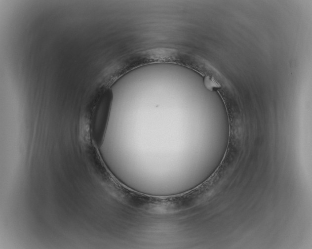 X0000112890696200908211030