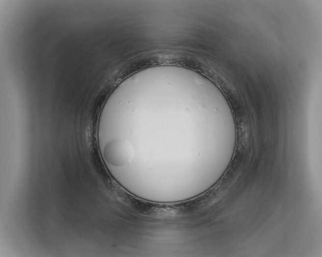 X0000112890698200908211030